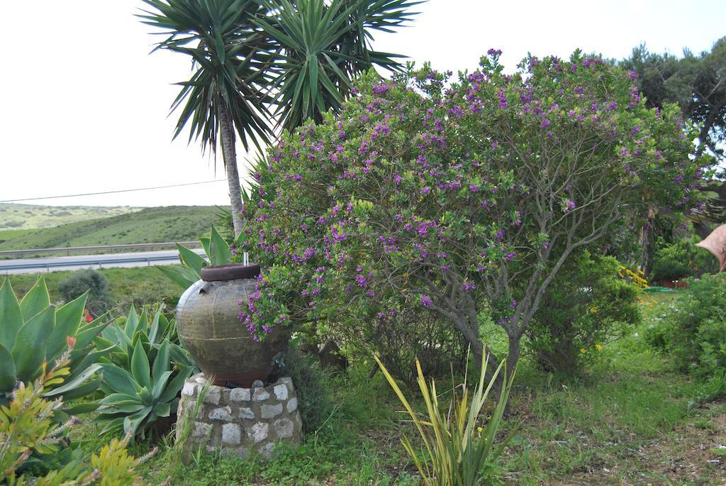 Vivenda Familia Pedro Hotel Vila do Bispo Exterior foto